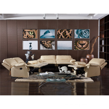 Wohnzimmer Sofa mit modernem echtem Leder Sofa Set (743)